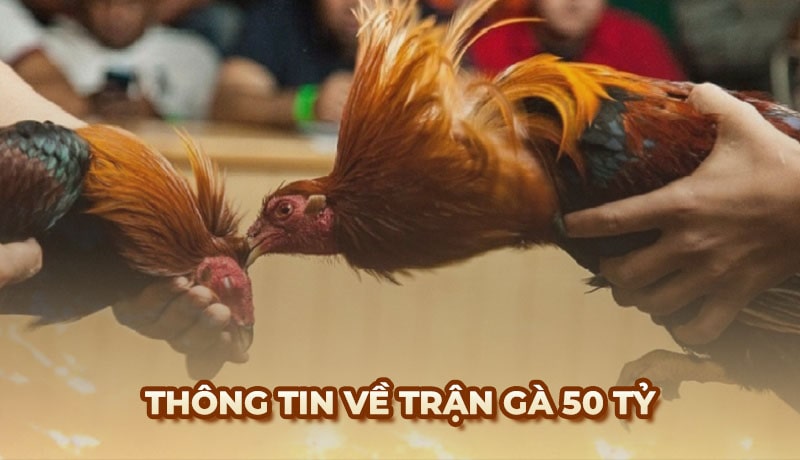Cuộc chiến gà 50 tỷ – Trận đấu đỉnh cao trong lịch sử chọi gà