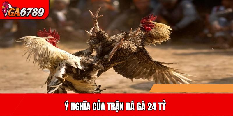 Ý nghĩa của trận đá gà 24 tỷ